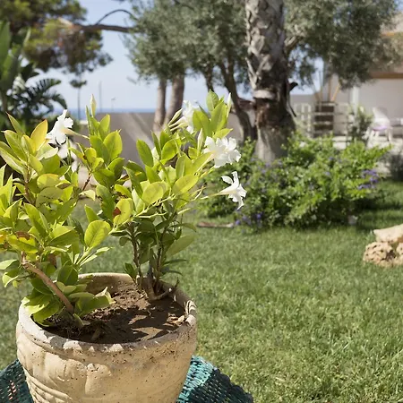 Marina Loft Sicily Holiday home *